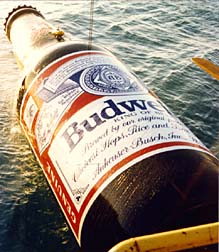 Budweiser