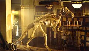 Pepsi Cola "Pepsisaurus"